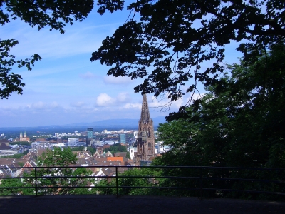 Umzug Freiburg im Breisgau / Umzugsunternehmen Freiburg im Breisgau